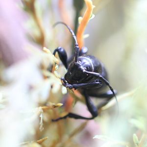 Image post by @butterflypavilion on Instagram