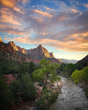 Image post by @nationalparkscollective on Instagram
