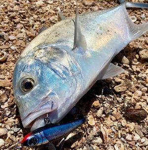 Image post by @black_ledge_lures on Instagram