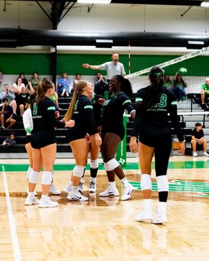 Image post by @MeanGreenVB on Twitter