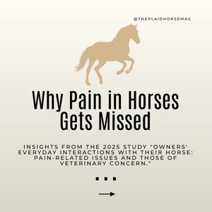 Image post by @theplaidhorsemag on Instagram