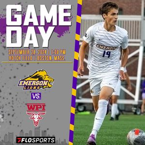 Image post by @emersonlions on Instagram