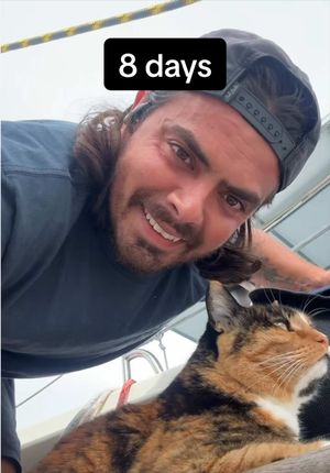 Video post by @sailing_with_phoenix on TikTok