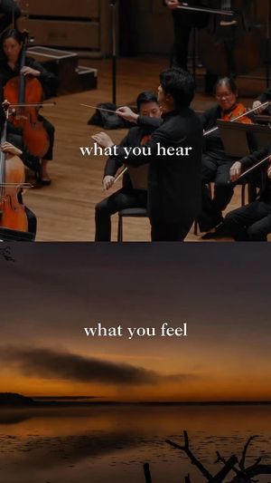 Video post by @Senses Concert on Facebook