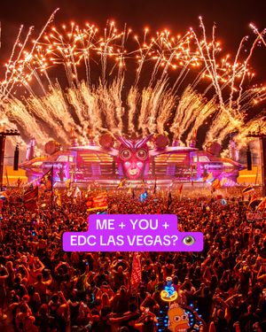 Video post by @electric_daisy_carnival on TikTok