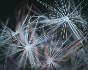 Image post by @lathanuelf_photos on Instagram
