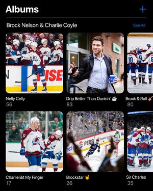 Video post by @coloradoavalanche on TikTok
