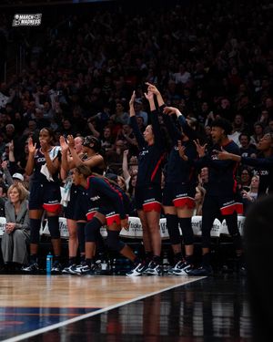 Video post by @marchmadnesswbb on TikTok