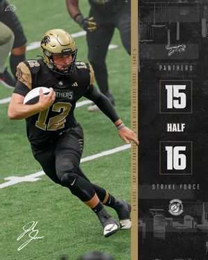 Image post by @panthersifl on Instagram