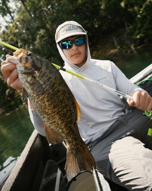 Image post by @profishiency on Instagram