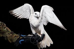 Image post by @airmanmagazine on Instagram