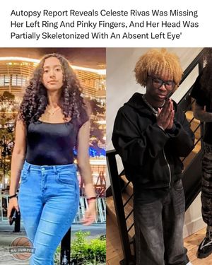 Image post by @nojumper on Instagram