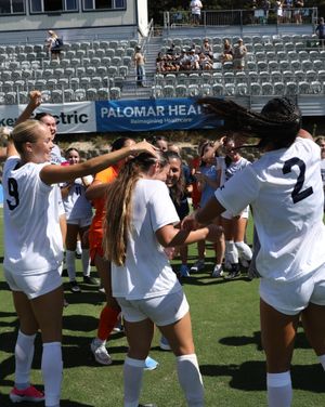 Image post by @usdwsoccer on Instagram