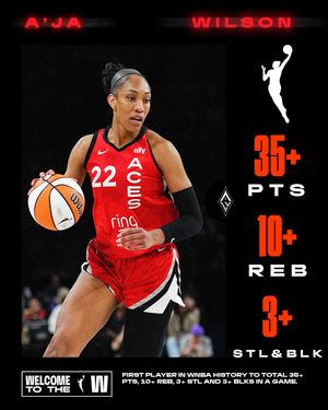 Image post by @wnba on Instagram