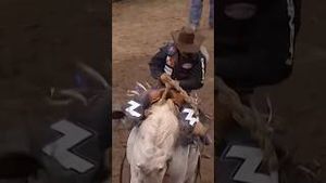 Video post by @officialcowboychannel on YouTube