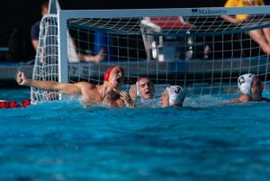 Image post by @usawp on Instagram