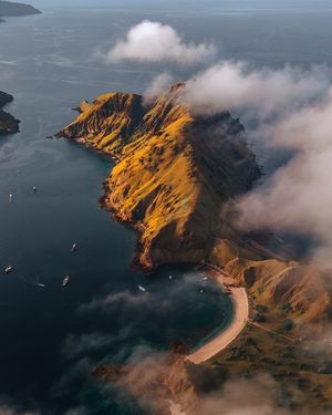 Image post by @joeadimara_ on Instagram