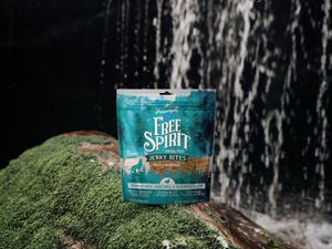 Image post by @triumphpetfood on Instagram
