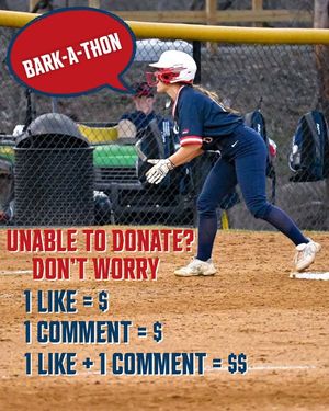 Image post by @DeSalesUniversitySoftball on Facebook