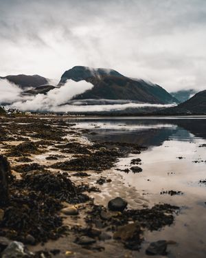 Image post by @danigoinhamm on Instagram