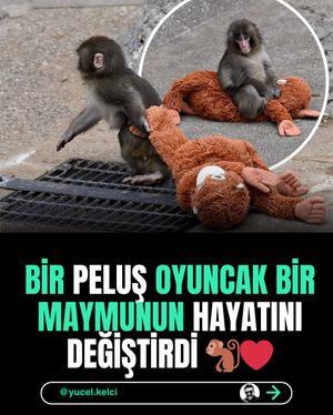Image post by @yucel.kelci on Instagram