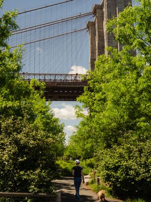 Image post by @dumbo_brooklyn on Instagram