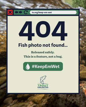 Image post by @troutunlimited on Instagram