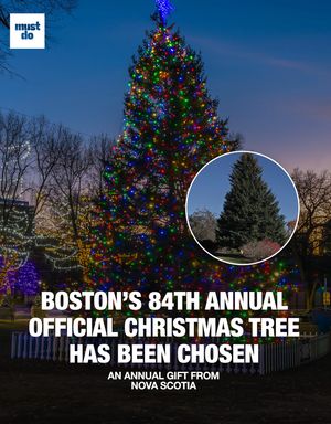 Image post by @mustdoboston on Instagram