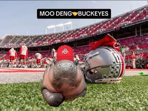 Video post by @ohiostateathletics on TikTok