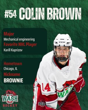 Image post by @washuhockey on Instagram