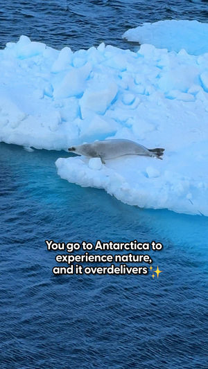 Video post by @thedodo on TikTok