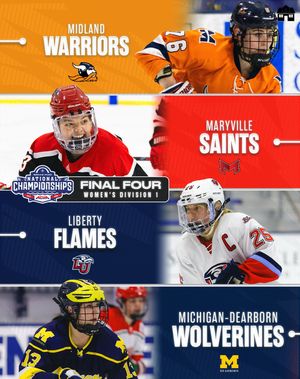 Image post by @hockeyhousepod on Instagram