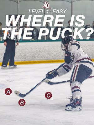 Image post by @aquinasd3hockey on Instagram