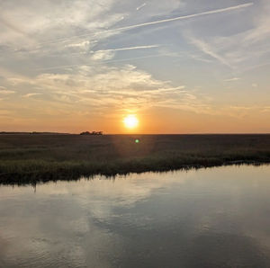 Image post by @southcarolina on Instagram