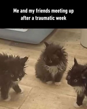 Image post by @9gag on Instagram