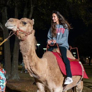 Image post by @universityofhouston on Instagram