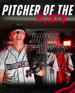 Image post by @WoodpeckersNC on Twitter