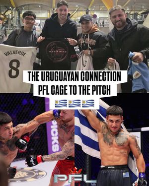 Image post by @pflmma on Instagram