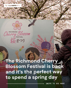 Image post by @curiocityvancouver on Instagram