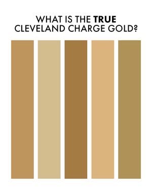 Image post by @chargecle on Instagram