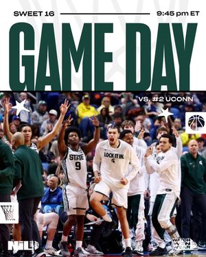 Image post by @msu.nil.store on Instagram