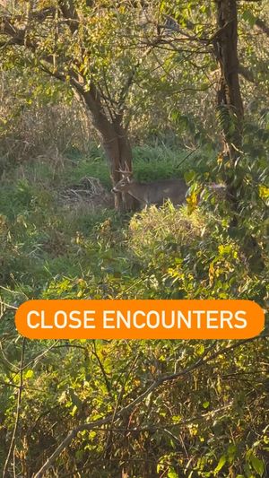Video post by @thehuntingchallenge on Instagram