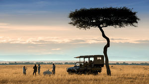 Image post by @AvondaleTravel on Facebook