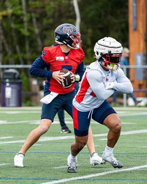 Image post by @mtlalouettes on Instagram