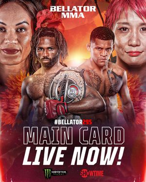 Image post by @bellatormma on Instagram