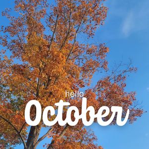 Image post by @tourlakecountyoh on Instagram