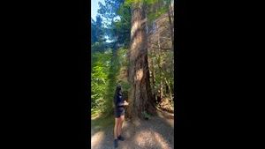Video post by @westjet on YouTube