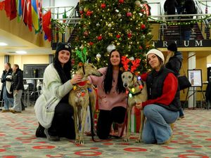 Image post by @uindy on Instagram