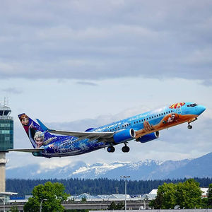 Image post by @WestJet on Twitter
