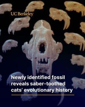 Image post by @ucberkeleyofficial on Instagram